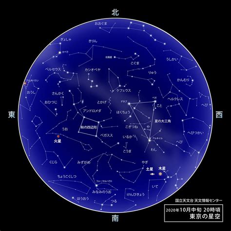 11月22號什麼星座|11月22星座 